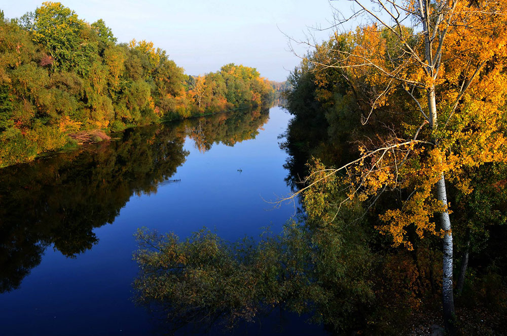 Нижньопсільський заказник